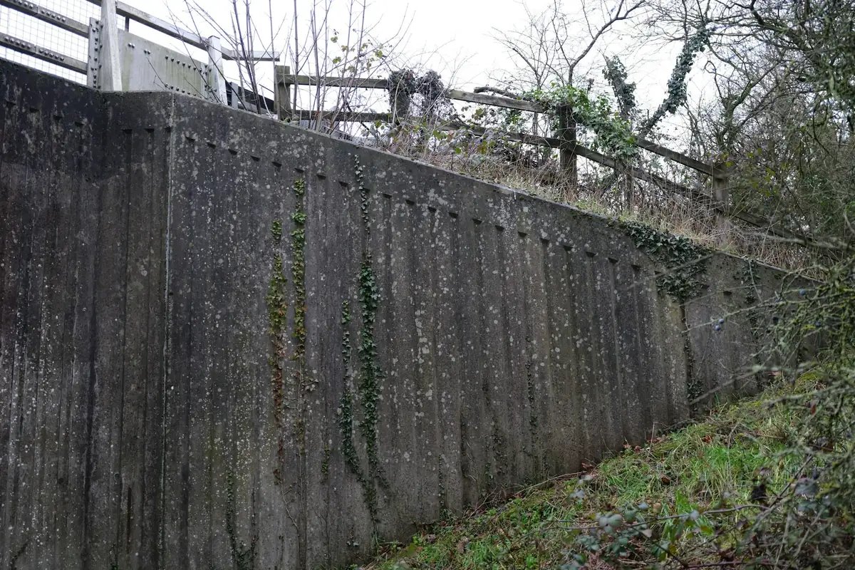 Tall poured concrete retaining wall holding back a slope, with ivy growing on it